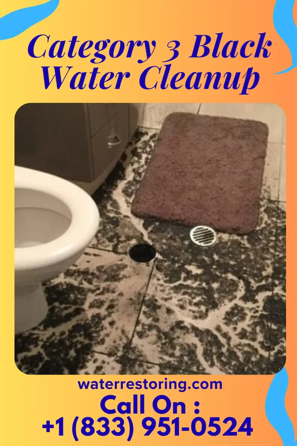 Category 3 Black Water Cleanup in Liberty, NC