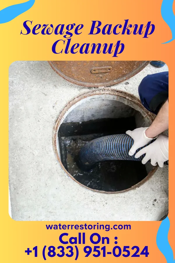 Sewage Backup Cleanup in Liberty, NC
